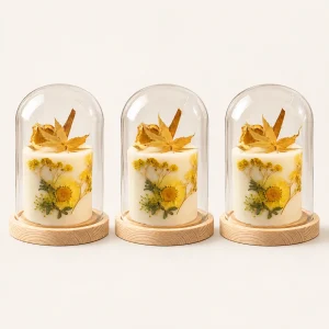 Glass Cloche with Wooden Base