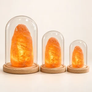 Glass Cloche Salt Rock Lamp