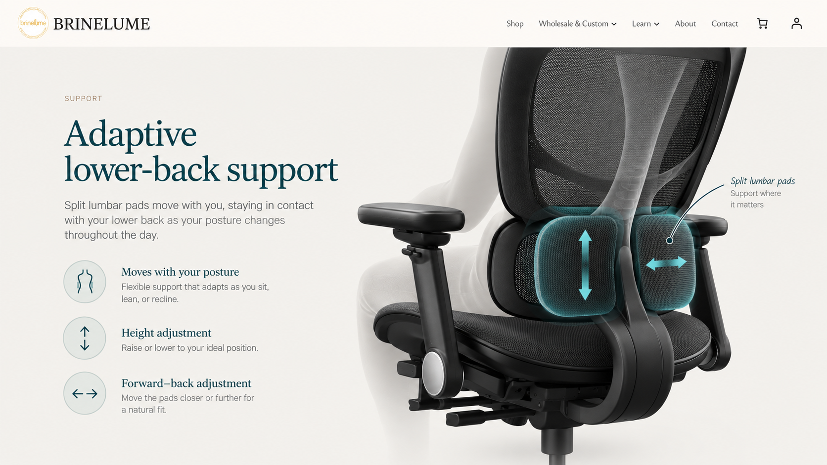 Illustration of the chair’s split lower-back pads supporting the lower back, with arrows showing height and forward–back adjustment.